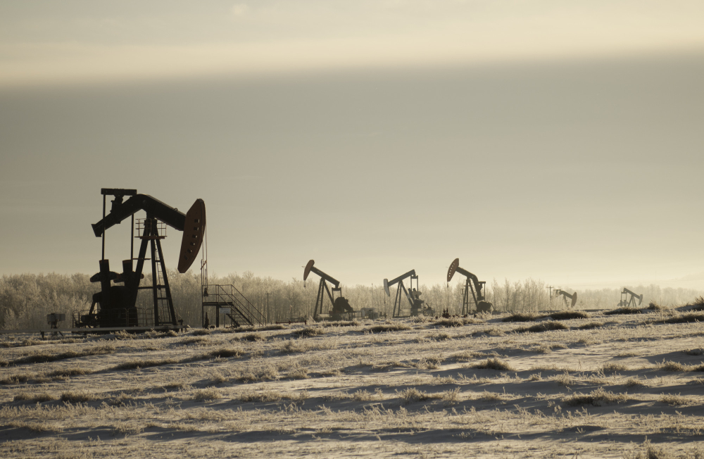 Oil Market Resilience: Navigating Hurricane Beryl and Global Dynamics