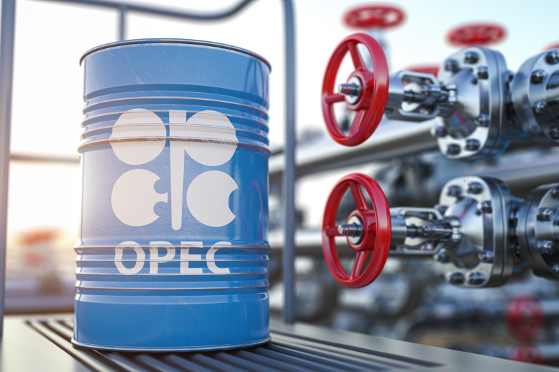 OPEC's Production Cuts Cause Concern Among Oil-Importing Countries, US Caught Off Guard